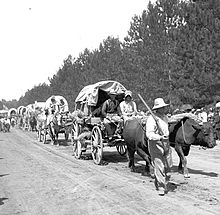 220px-WagonTrn